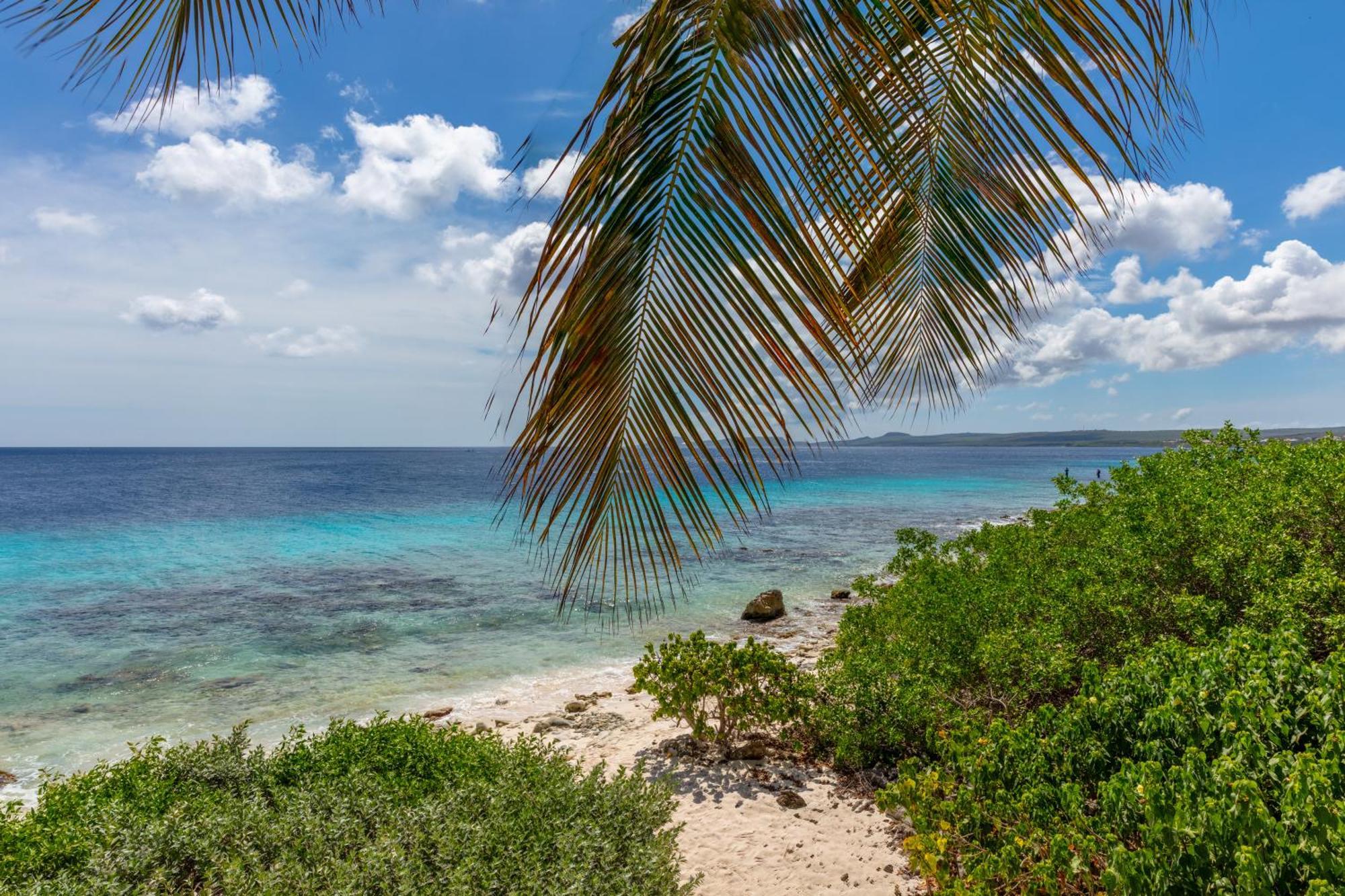 One Ocean Boutique Apartments & Suites Bonaire Kralendijk Exteriér fotografie