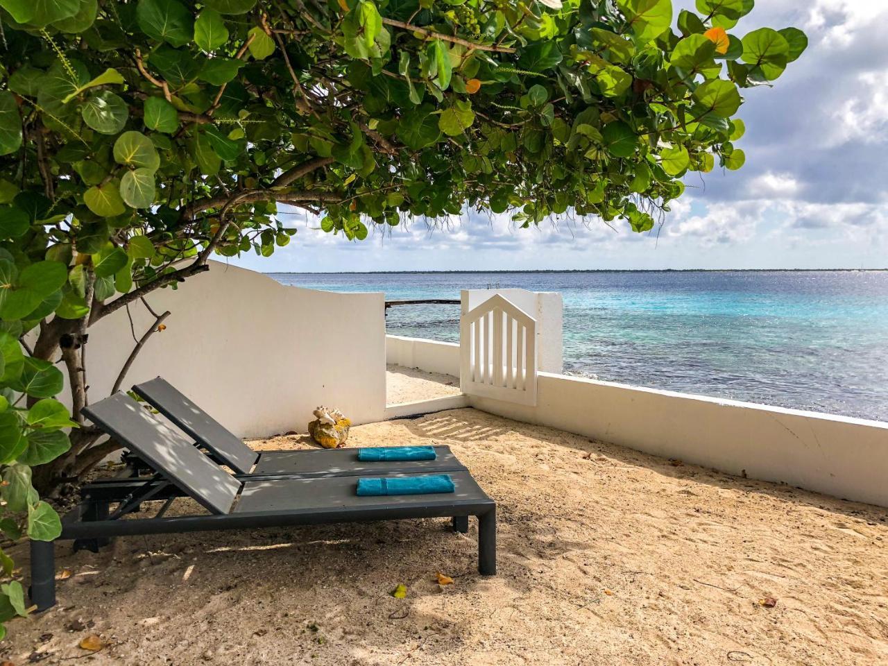 One Ocean Boutique Apartments & Suites Bonaire Kralendijk Exteriér fotografie